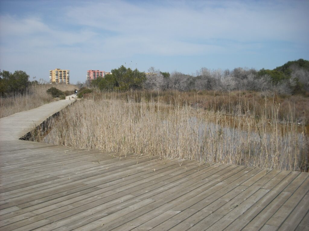 Parque natural El Saler