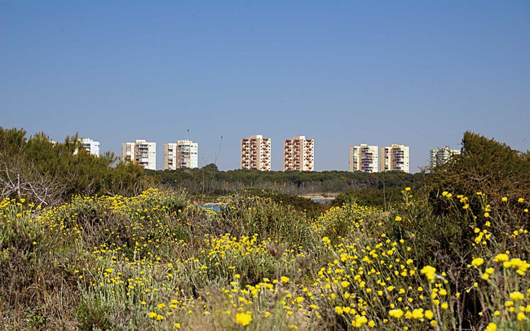 Una urbanización en un Parque Natural – El Saler, parte I