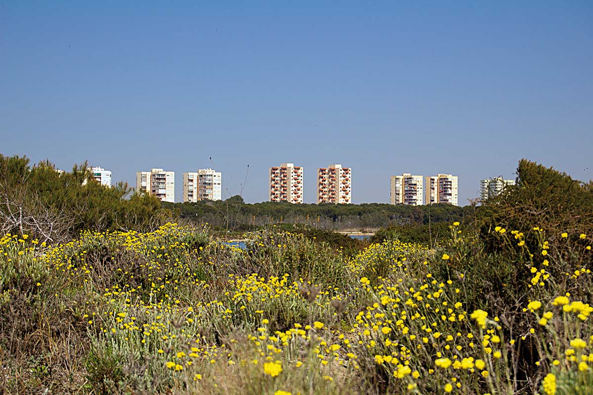 albufera, el saler, valencia, atelierjom, parque natural