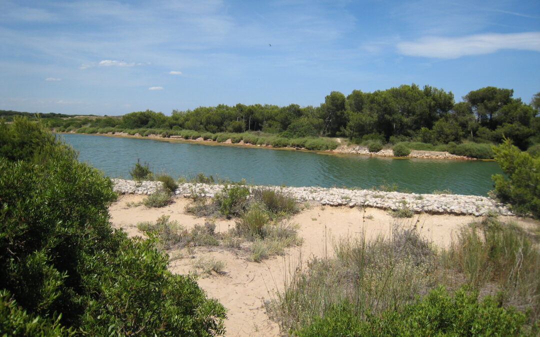 Una urbanización en un Parque Natural – El Saler, parte II